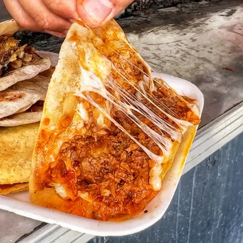 Tacos doña Mary la Gritona